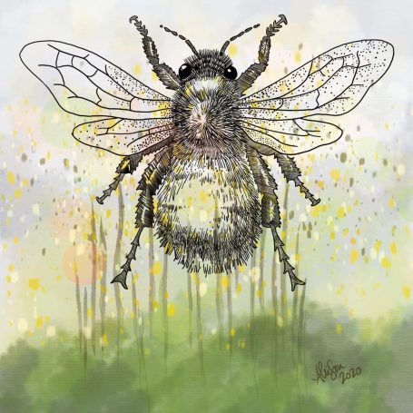 Image of a bee.