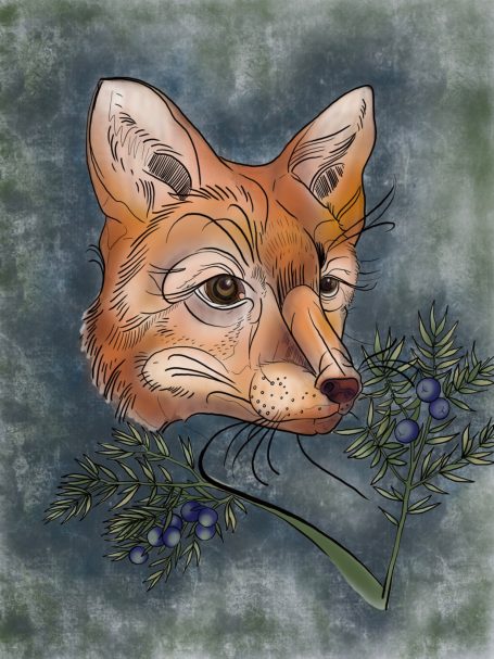 Image of a fox head on abstract background.